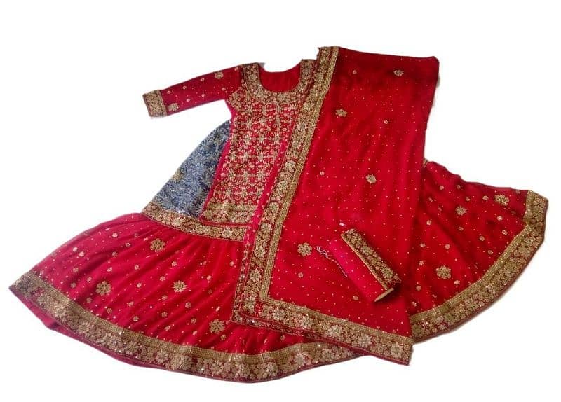 Brand New Bridal Lehenga Readymade With Purse/ Hand Clutch 0