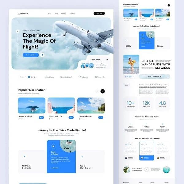 Expert Website & Mobile App Development | Flutter & API | UI/UX Design 17