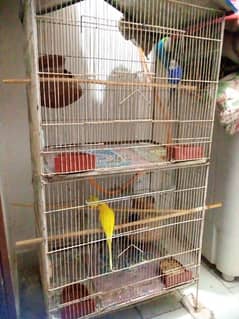 Parrot cage