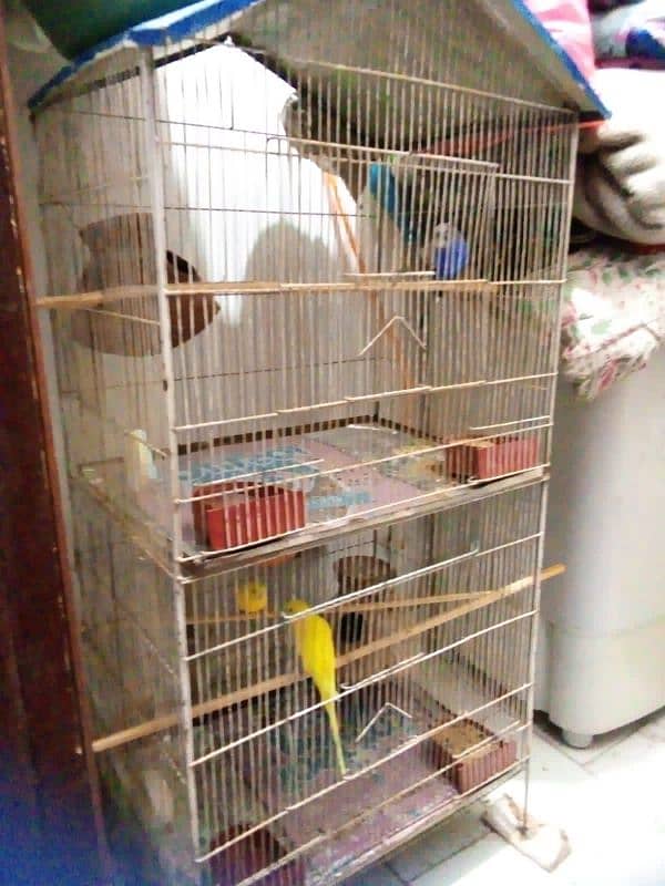 Parrot cage 1