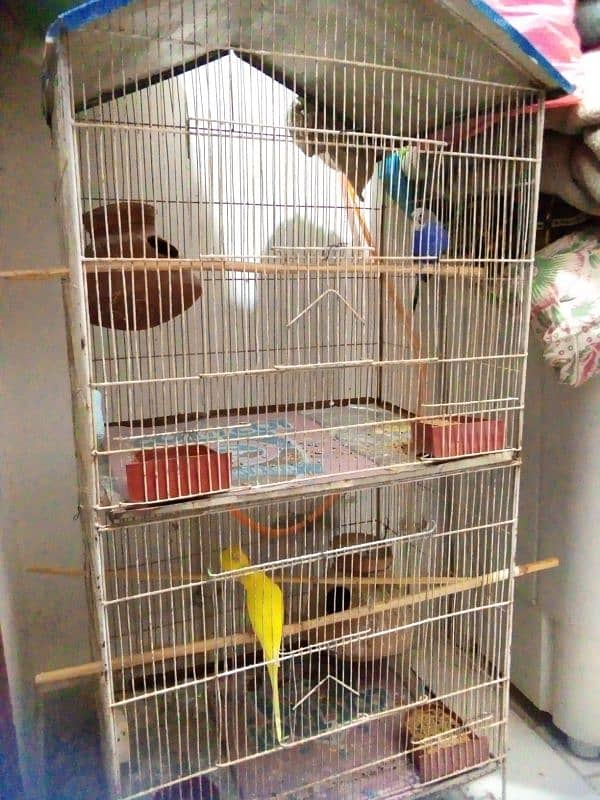 Parrot cage 2