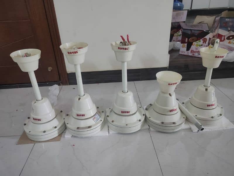 Royal Celling fan premium model 1