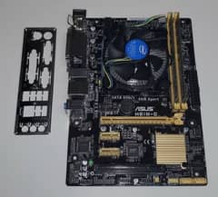 Asus H81 Motherboard  with Pentium 4th gernation processor