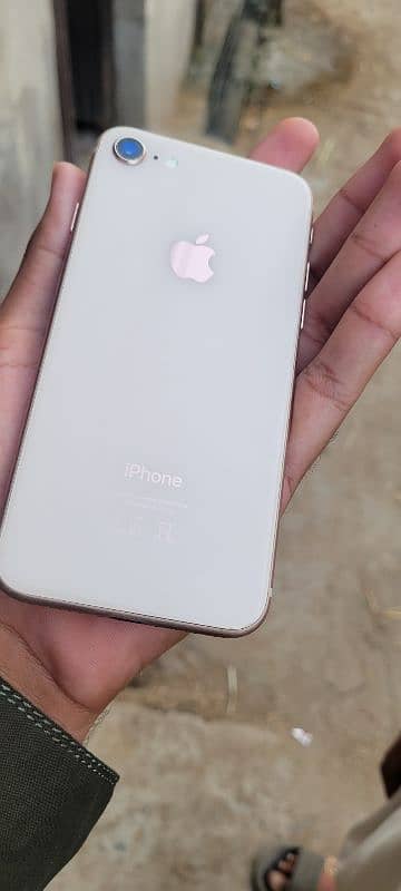 I phone 8 PTA approved 4