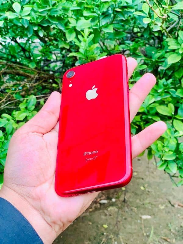 iphone xr 1