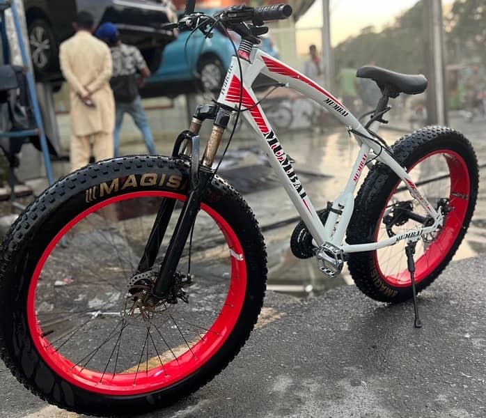 Fat bike 1