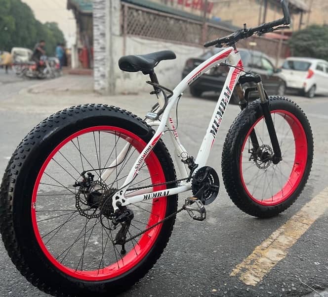 Fat bike 2