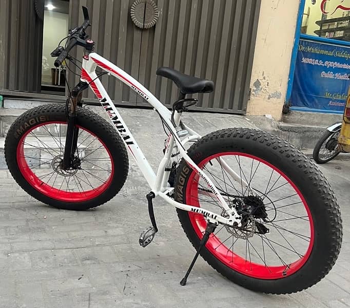 Fat bike 4