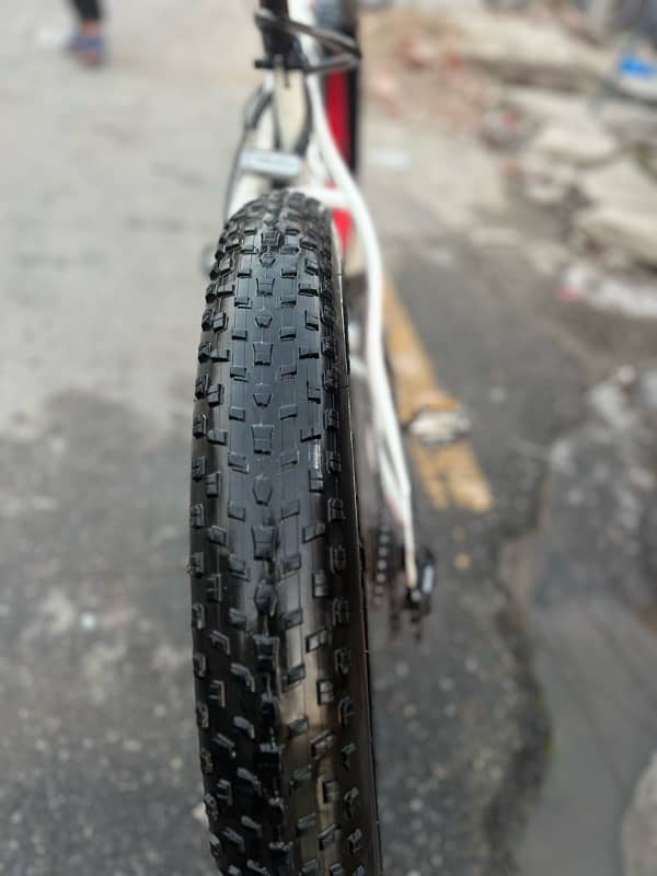 Fat bike 5