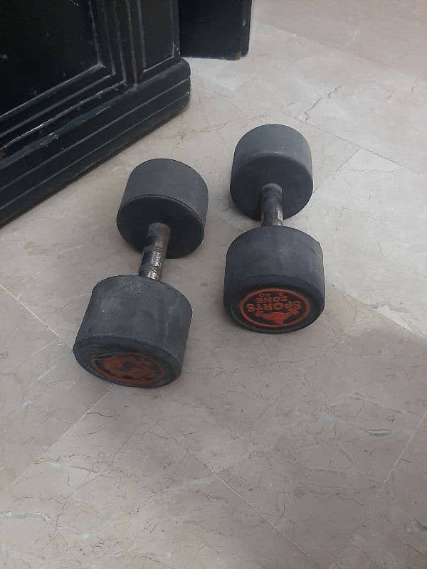 gym dumbbells 6kg pair 0