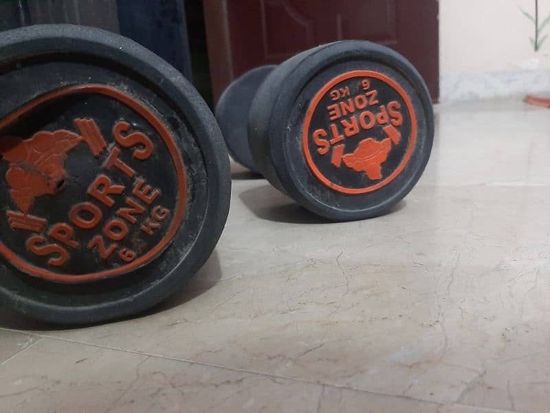 gym dumbbells 6kg pair 1