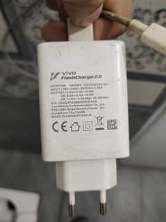 Vivo Flash Charger