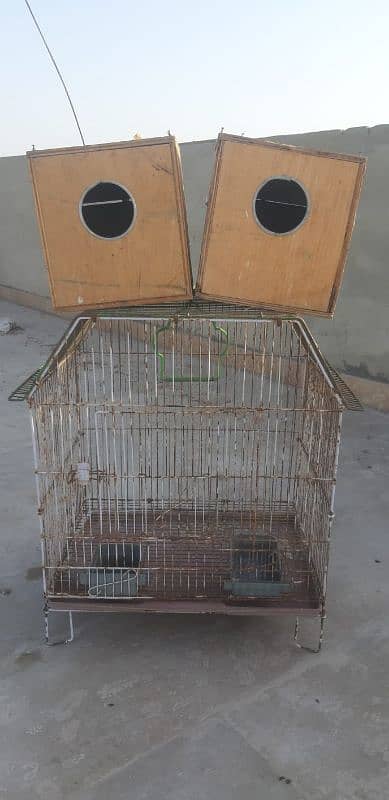 Cage with 2 Box 0