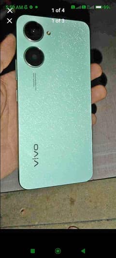 vivo 03