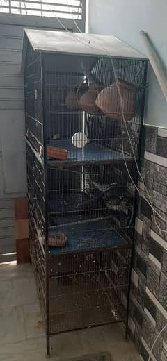 cage for sale