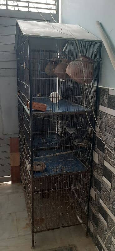 cage for sale 0