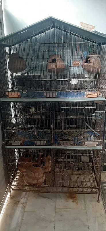 cage for sale 3