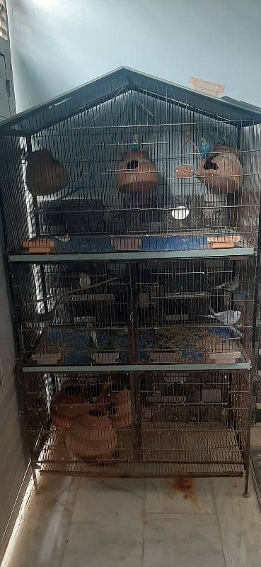 cage for sale 5