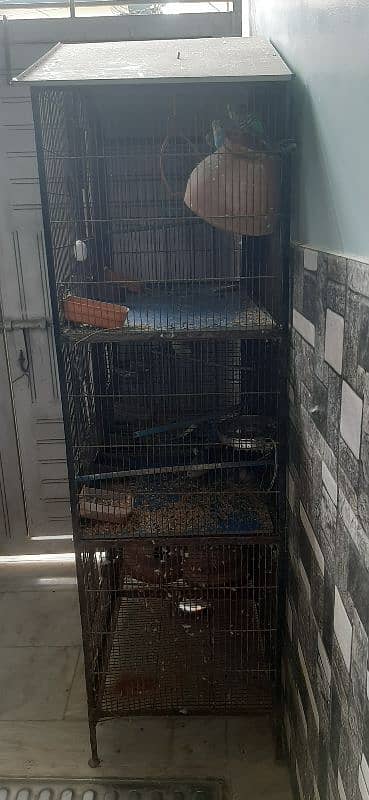 cage for sale 6