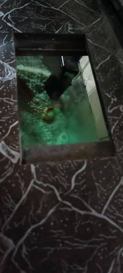 aquarium for sale big size