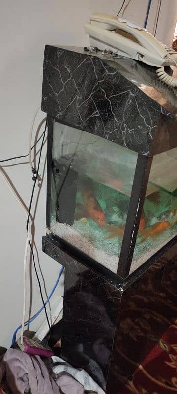 aquarium for sale big size 2