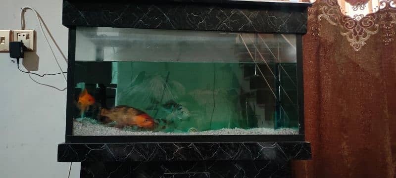 aquarium for sale big size 3