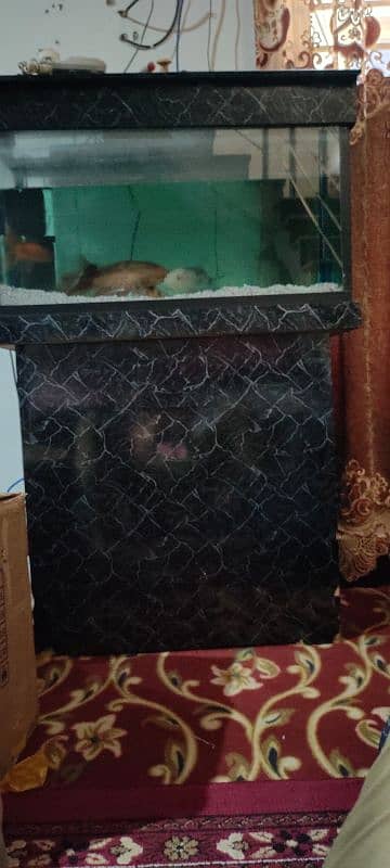 aquarium for sale big size 4