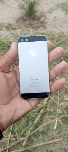 apple I phone 5