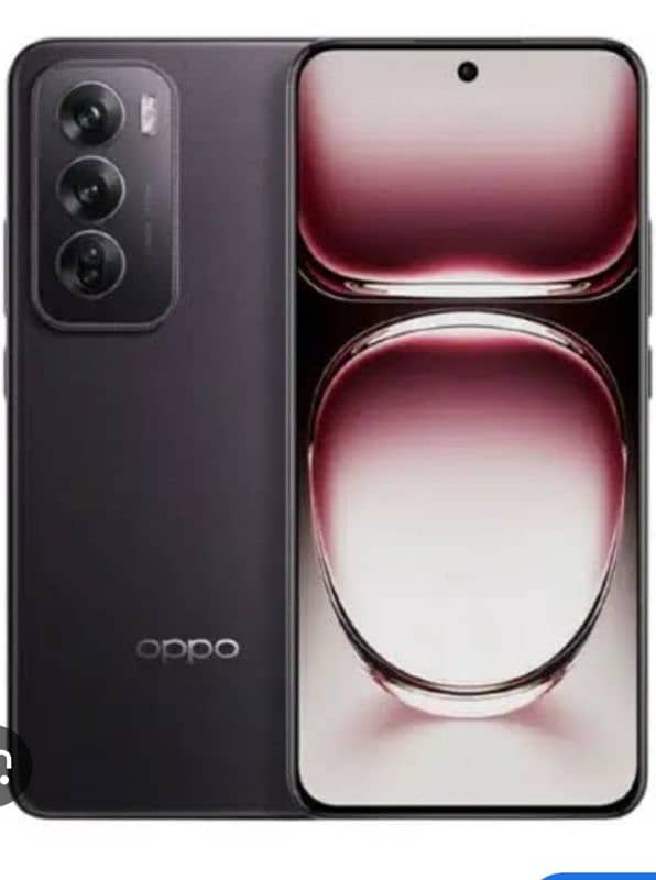 Oppo Reno 12 (12/512) 5G 0