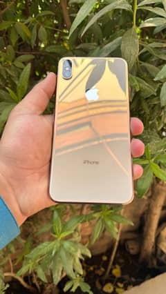 iphone xs max pta approved