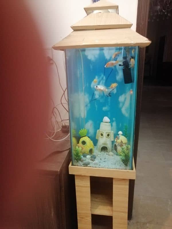 Aquarium for sale with fishes 2