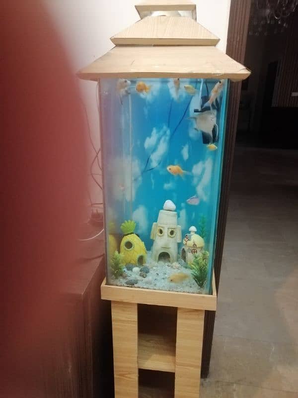 Aquarium for sale with fishes 4