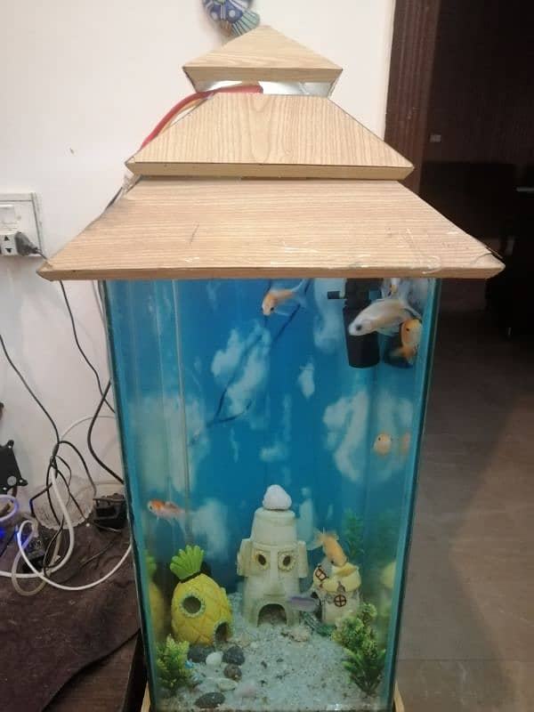 Aquarium for sale with fishes 5