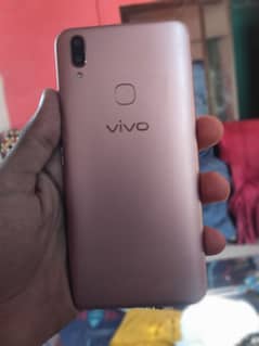 vivo