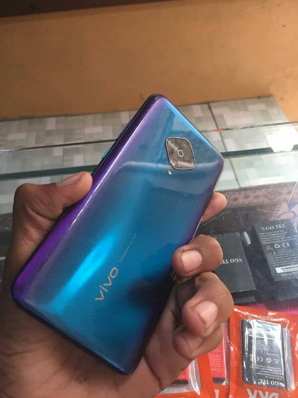 vivo v2024 1