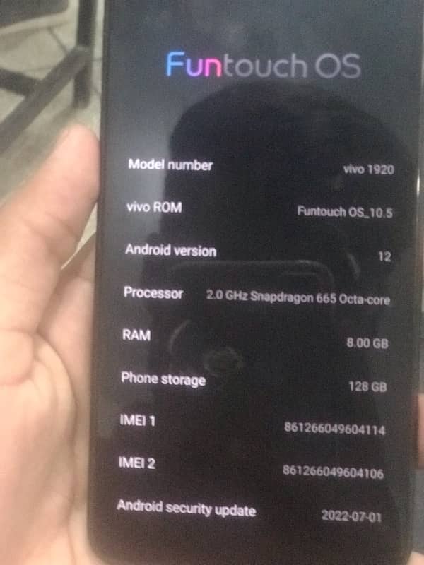 Vivo 1920 with box charger 2