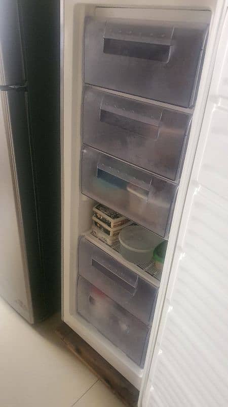 Vertical Freezer 2