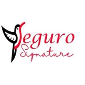 Seguro