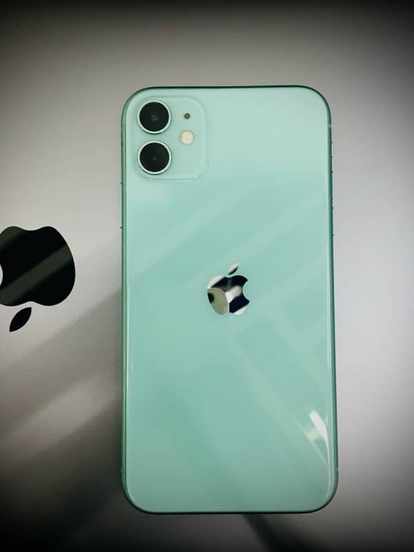 iPhone 11 Nonpta Lush 0