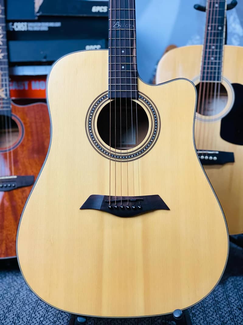 Acoustic Guitar Collections at happy guitar club 13