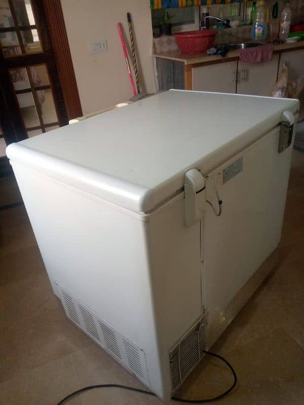 Deep Freezer Single Door For Sale 4