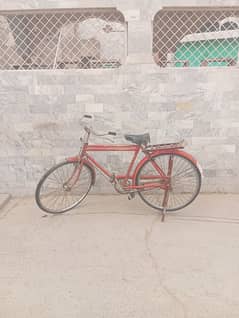 Bicycle for sale