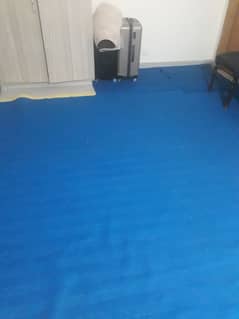 2 blue carpets with free form