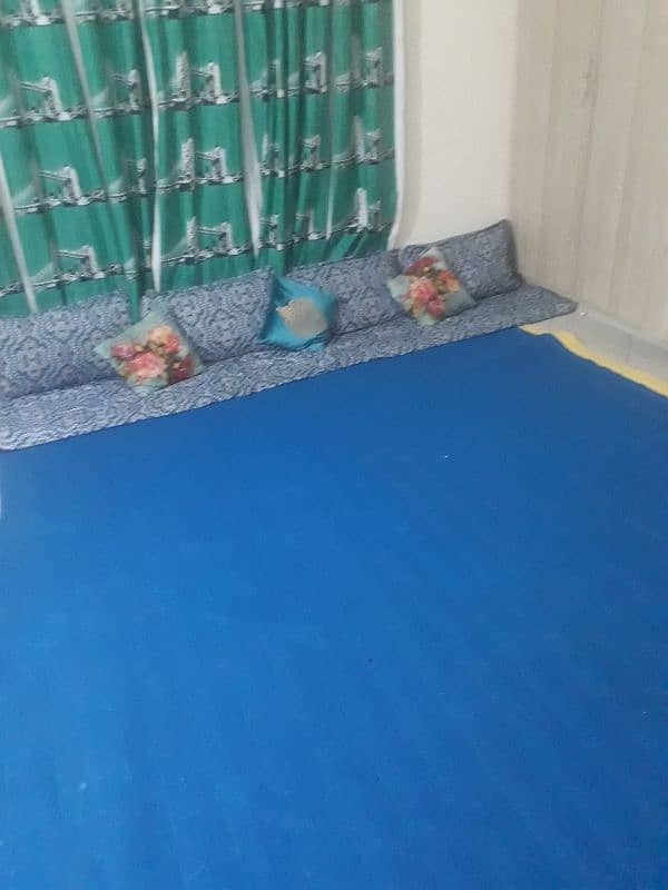 2 blue carpets with free form 1