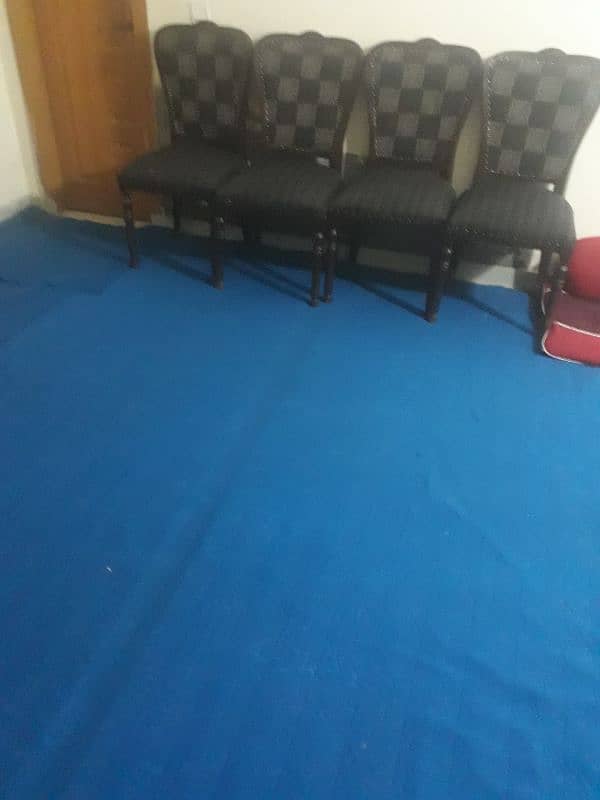 2 blue carpets with free form 2