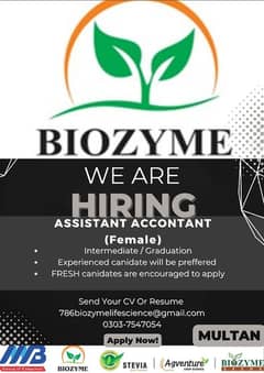 Account Assistant \ Office Work Job