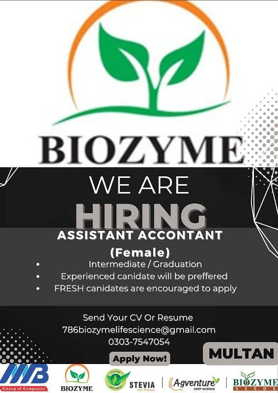 Account Assistant \ Office Work Job 0