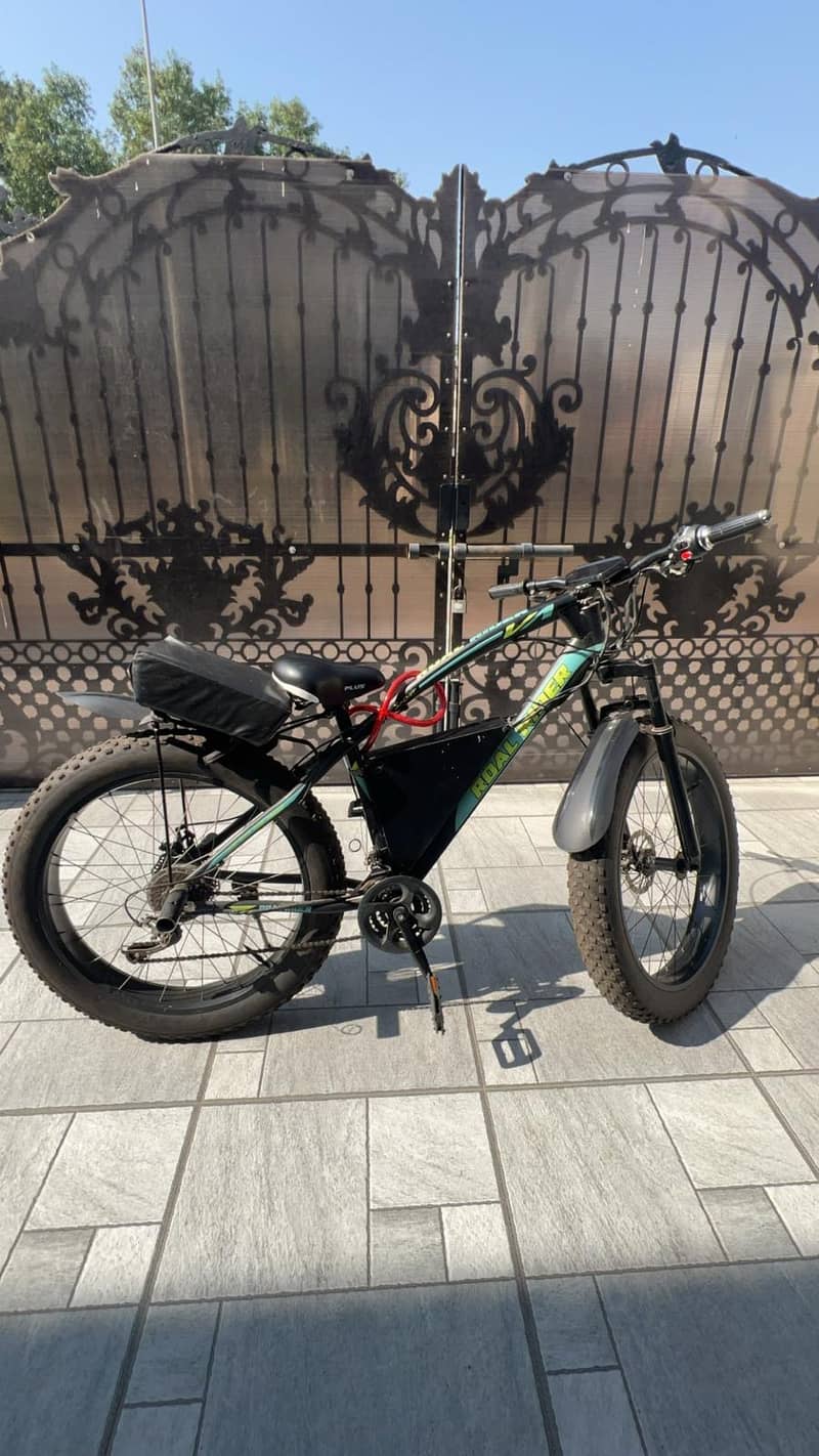 High-Performance Electric Bike for Sale 1