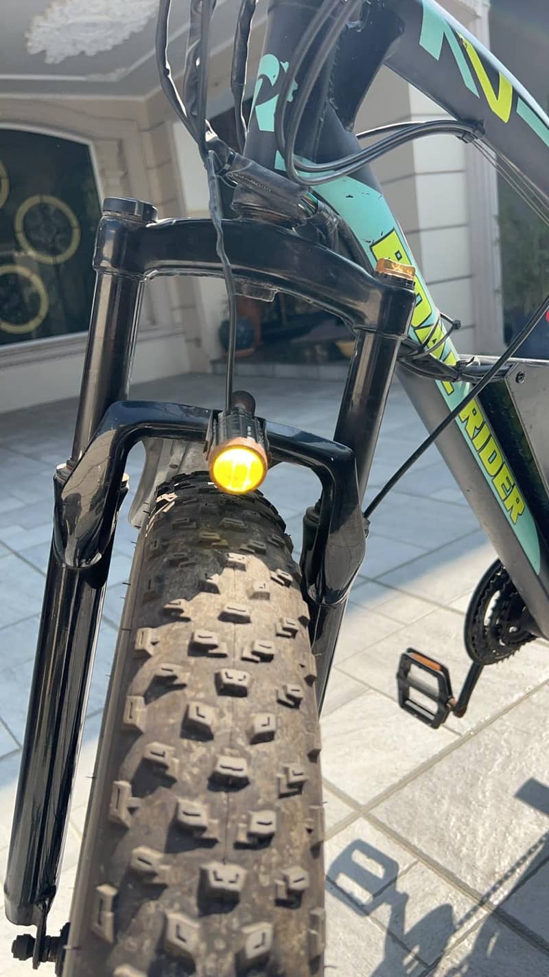 High-Performance Electric Bike for Sale 3