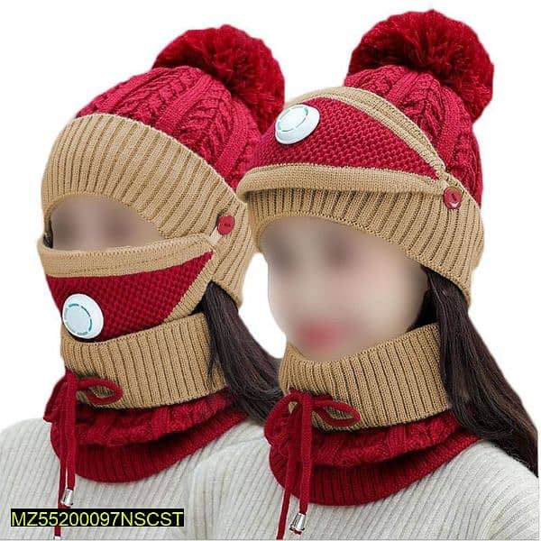 Beanie Wool Cap, Neck Warmer and Mask 2